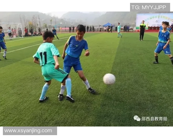 港星聚集绿茵场！香港精装明星足球队随州约请赛圆满闭幕